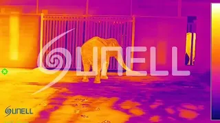 Kamera termowizyjna Sunell - Taniec słonia